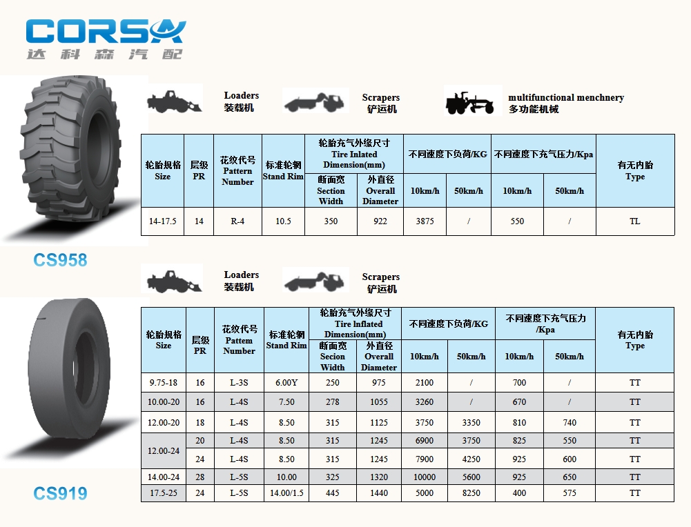 CS958-CS919(pic1)