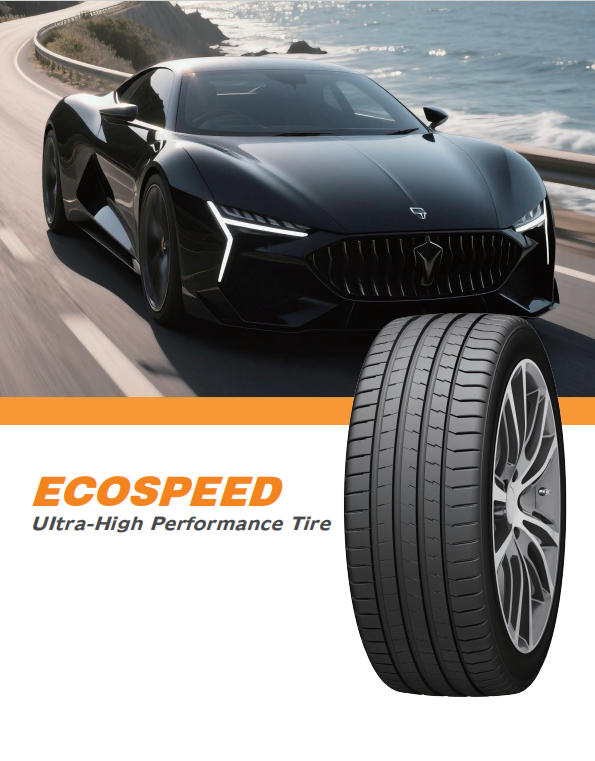 ECOSPEED(pic1)